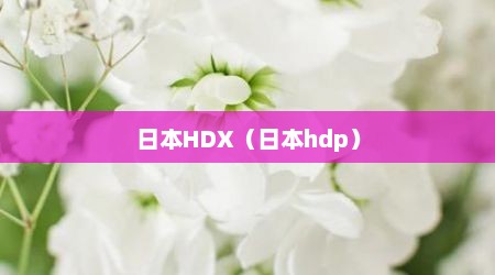 日本HDX（日本hdp）