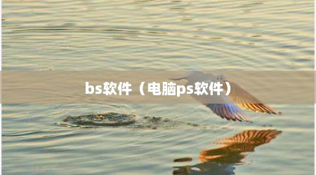 bs软件（电脑ps软件）