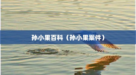 孙小果百科（孙小果案件）