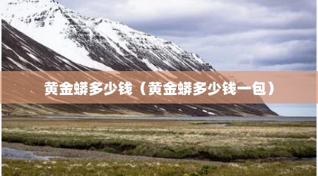 黄金蟒多少钱（黄金蟒多少钱一包）