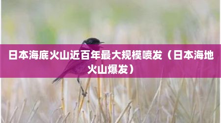 日本海底火山近百年最大规模喷发（日本海地火山爆发）