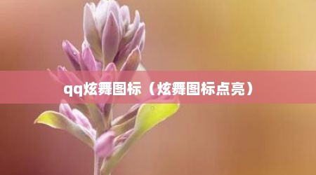 qq炫舞图标（炫舞图标点亮）
