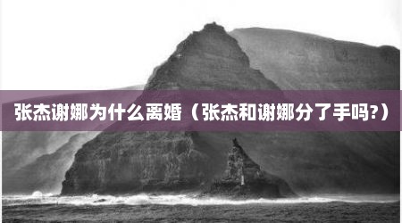 张杰谢娜为什么离婚（张杰和谢娜分了手吗?）