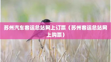 苏州汽车客运总站网上订票（苏州客运总站网上购票）
