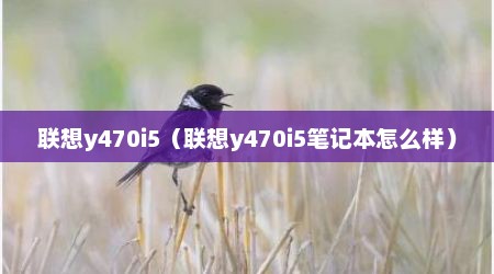 联想y470i5（联想y470i5笔记本怎么样）