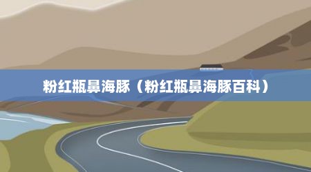 粉红瓶鼻海豚（粉红瓶鼻海豚百科）