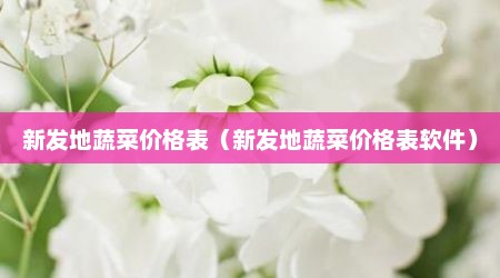 新发地蔬菜价格表（新发地蔬菜价格表软件）