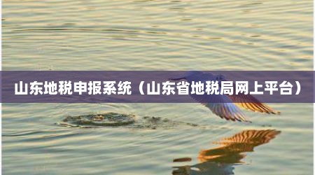 山东地税申报系统（山东省地税局网上平台）