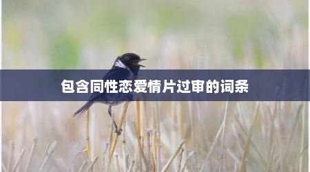 包含同性恋爱情片过审的词条