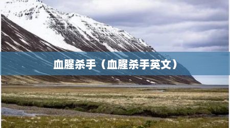 血腥杀手（血腥杀手英文）