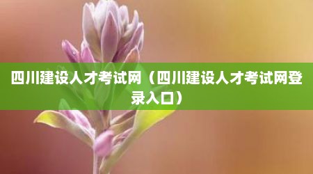 四川建设人才考试网（四川建设人才考试网登录入口）