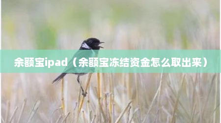 余额宝ipad（余额宝冻结资金怎么取出来）