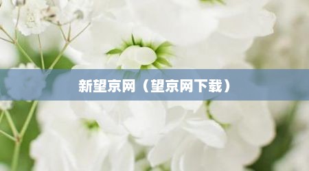 新望京网（望京网下载）
