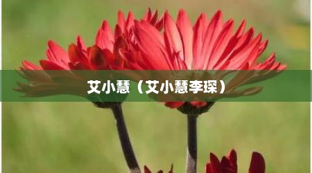 艾小慧（艾小慧李琛）