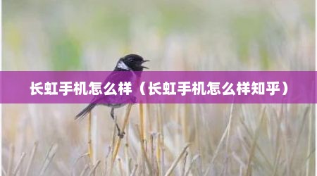 长虹手机怎么样（长虹手机怎么样知乎）