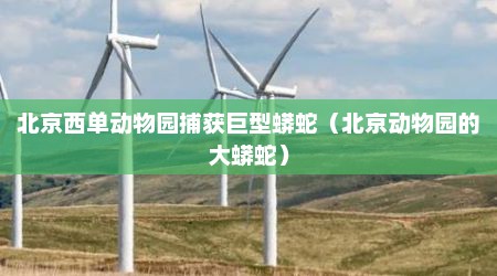 北京西单动物园捕获巨型蟒蛇（北京动物园的大蟒蛇）