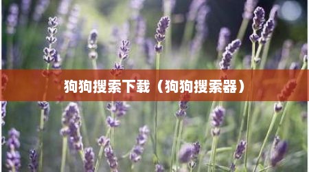 狗狗搜索下载（狗狗搜索器）