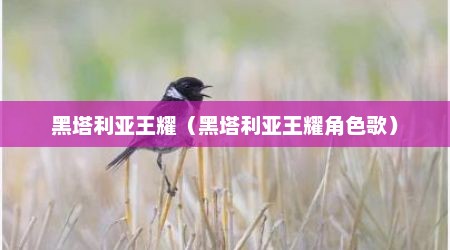 黑塔利亚王耀（黑塔利亚王耀角色歌）