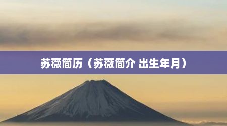 苏薇简历（苏薇简介 出生年月）