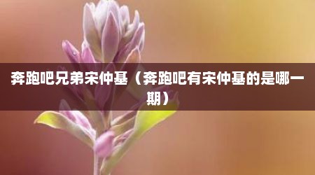 奔跑吧兄弟宋仲基（奔跑吧有宋仲基的是哪一期）