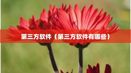 第三方软件（第三方软件有哪些）