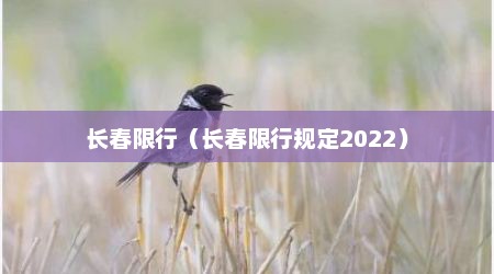 长春限行（长春限行规定2022）