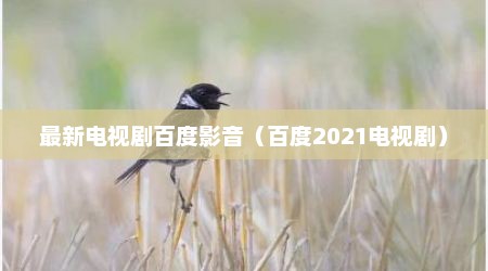 最新电视剧百度影音（百度2021电视剧）