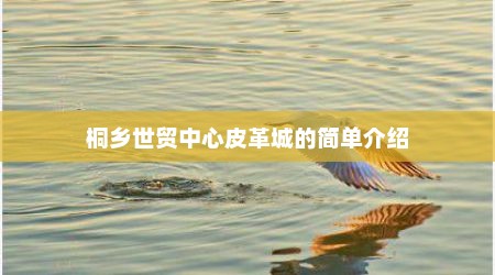 桐乡世贸中心皮革城的简单介绍