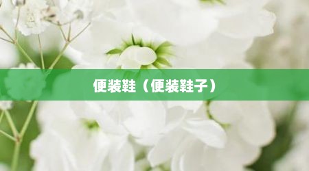 便装鞋（便装鞋子）