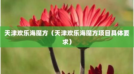 天津欢乐海魔方（天津欢乐海魔方项目具体要求）