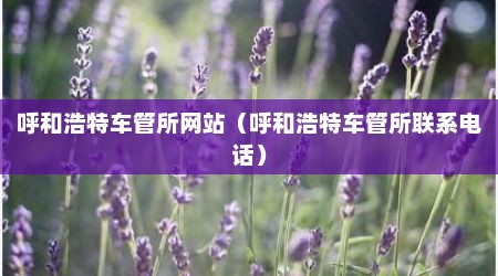 呼和浩特车管所网站（呼和浩特车管所联系电话）