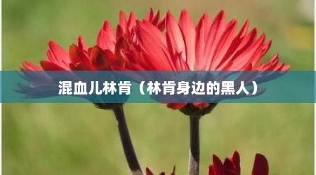 混血儿林肯（林肯身边的黑人）