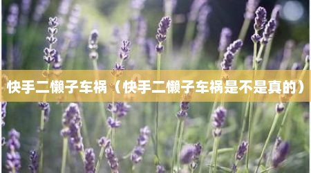 快手二懒子车祸（快手二懒子车祸是不是真的）