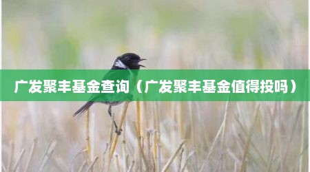 广发聚丰基金查询（广发聚丰基金值得投吗）