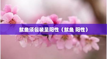 鱿鱼须包装呈阳性（鱿鱼 阳性）
