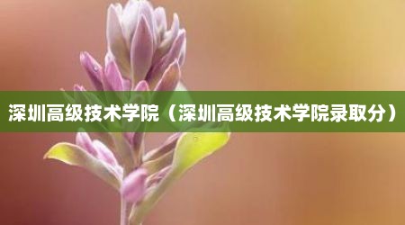 深圳高级技术学院（深圳高级技术学院录取分）