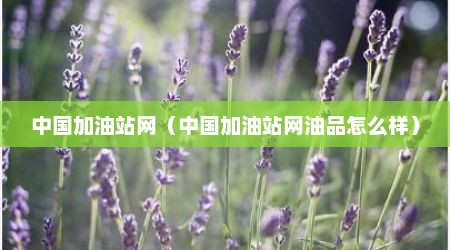 中国加油站网（中国加油站网油品怎么样）