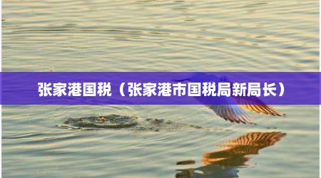 张家港国税（张家港市国税局新局长）