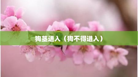 狗茎进入（狗不得进入）