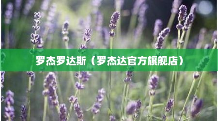罗杰罗达斯（罗杰达官方旗舰店）