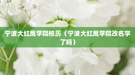宁波大红鹰学院校历（宁波大红鹰学院改名字了吗）
