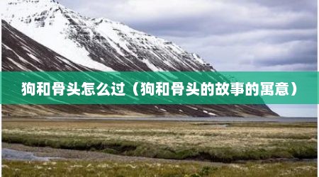 狗和骨头怎么过（狗和骨头的故事的寓意）