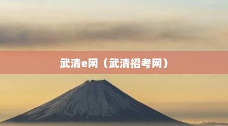 武清e网（武清招考网）