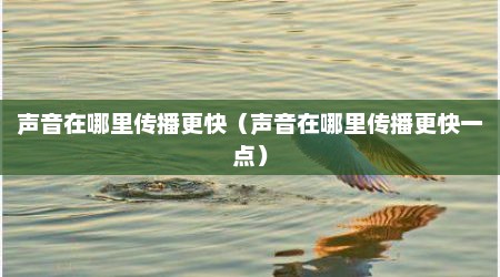 声音在哪里传播更快（声音在哪里传播更快一点）