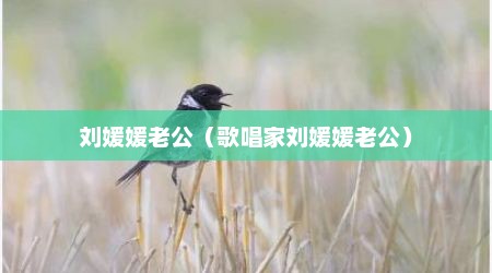 刘媛媛老公（歌唱家刘媛媛老公）