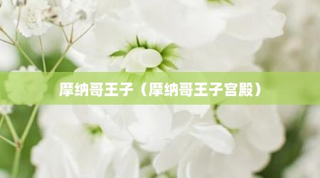 摩纳哥王子（摩纳哥王子宫殿）