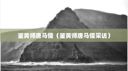 鉴黄师唐马儒（鉴黄师唐马儒采访）