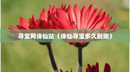 寻宝网诛仙站（诛仙寻宝多久到账）