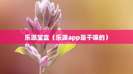 乐派宝盒（乐派app是干嘛的）
