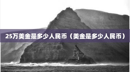 25万美金是多少人民币（美金是多少人民币）